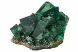 Fluorite Crystal Cluster with Galena - Rogerley Mine #143046-2